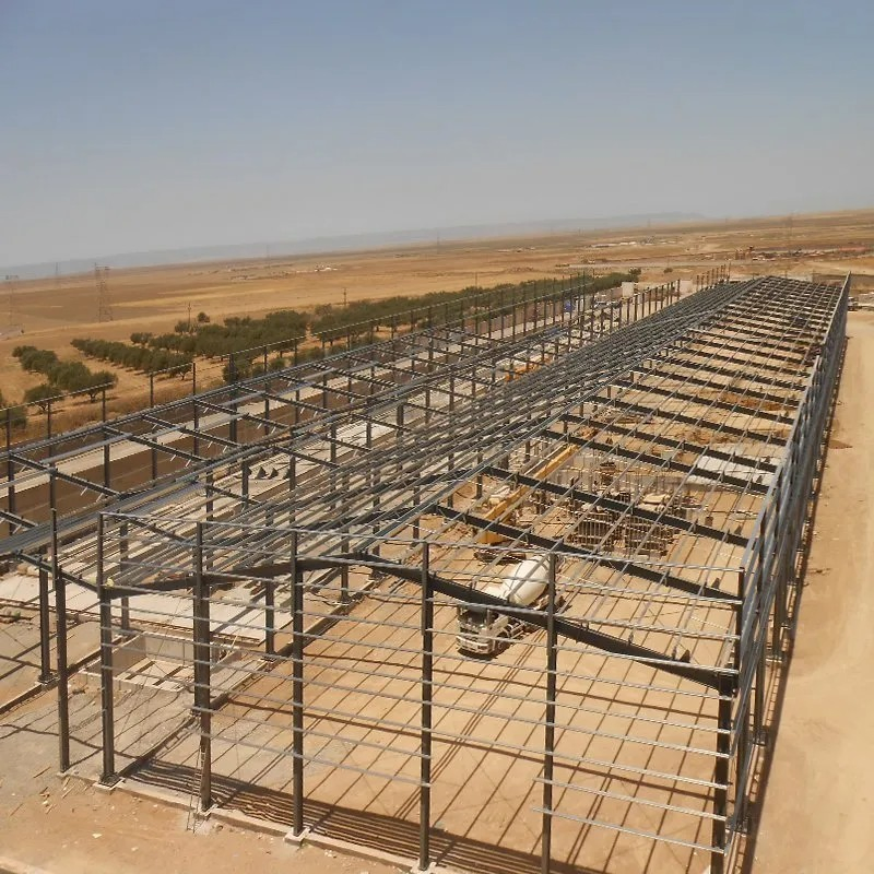 Fábrica de cobertizos de acero ligero de China, estructura de almacén de metal