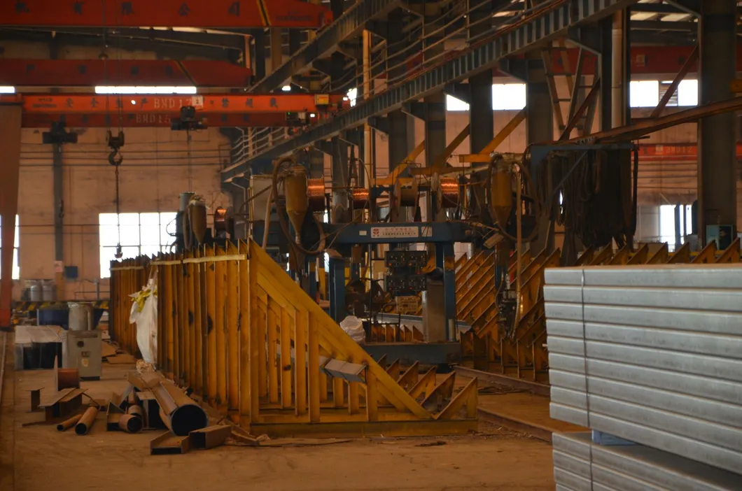 Taller de Estructura de Acero / Almacén Prefabricado de Acero