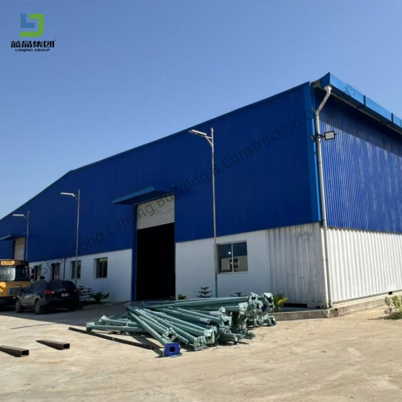 Estructura de acero de gran span, edificio industrial prefabricado de metal, almacén, cobertizo, taller, granja de pollos ponedoras, pollos de engorde, casa de cría de pollos, precio bajo