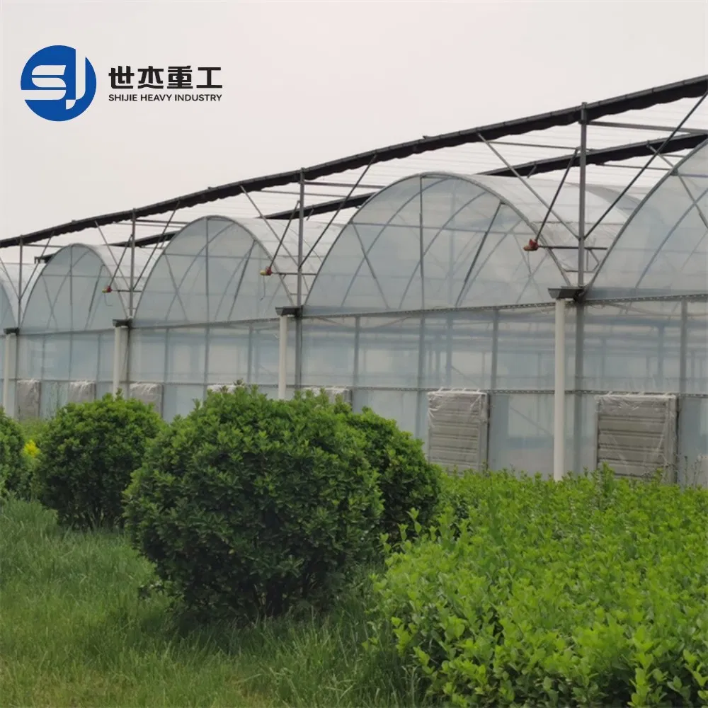 Sistema de Mantenimiento y Sistema de Mantenimiento Sostenible para Edificios de Vacas Prefabricados de Tubo de Acero Galvanizado invernadero