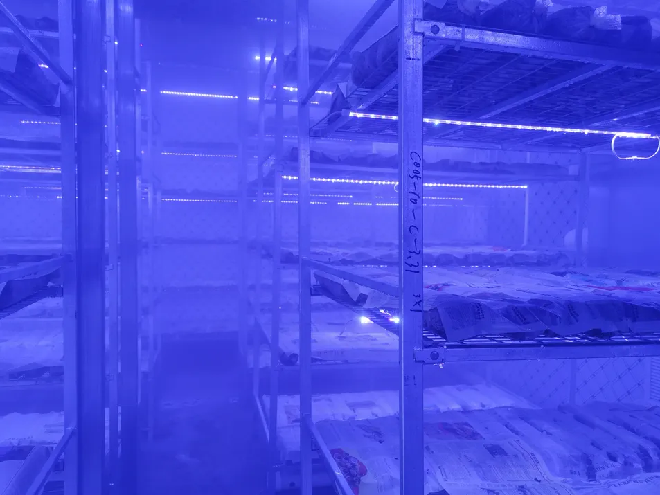 Contenedor Automatizado Inteligente para el Cultivo de Hongos con Sistema de Control Climático
