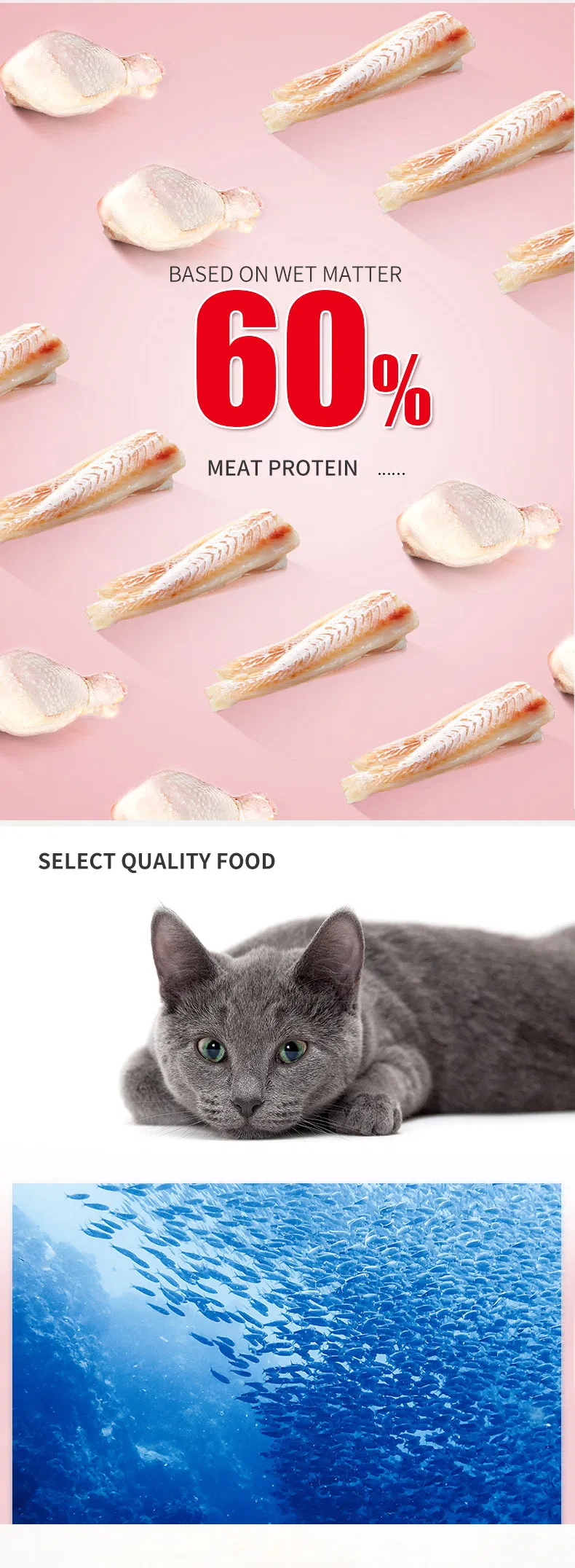 Nutrición Feline