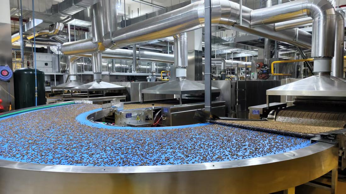 Línea de producción de alimentos premium para gatos y perros CareBite Pets