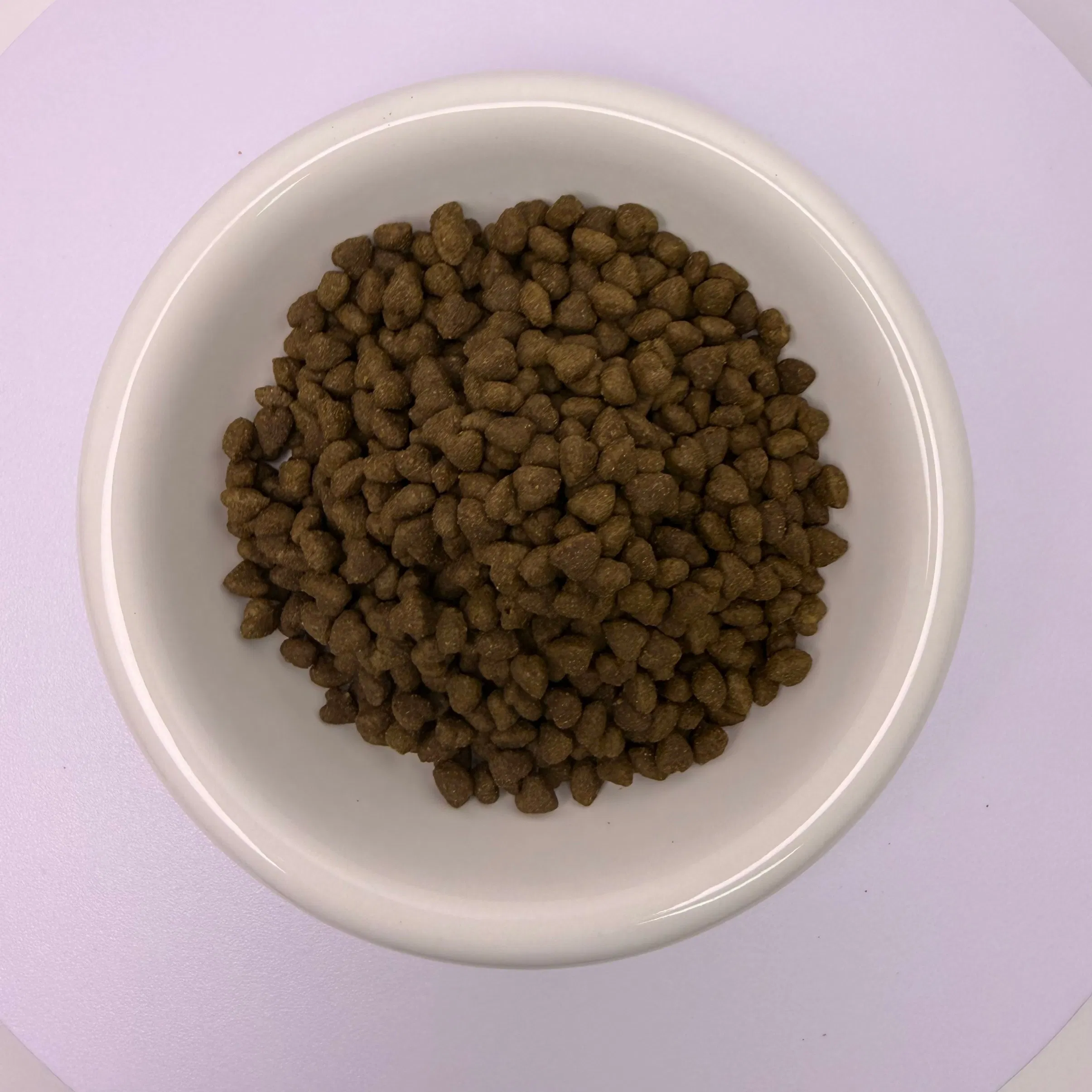 Comida para gatos grano amigable croquetas secas nutren la piel y el pelaje mantienen el pelo suave y brillante todo el año