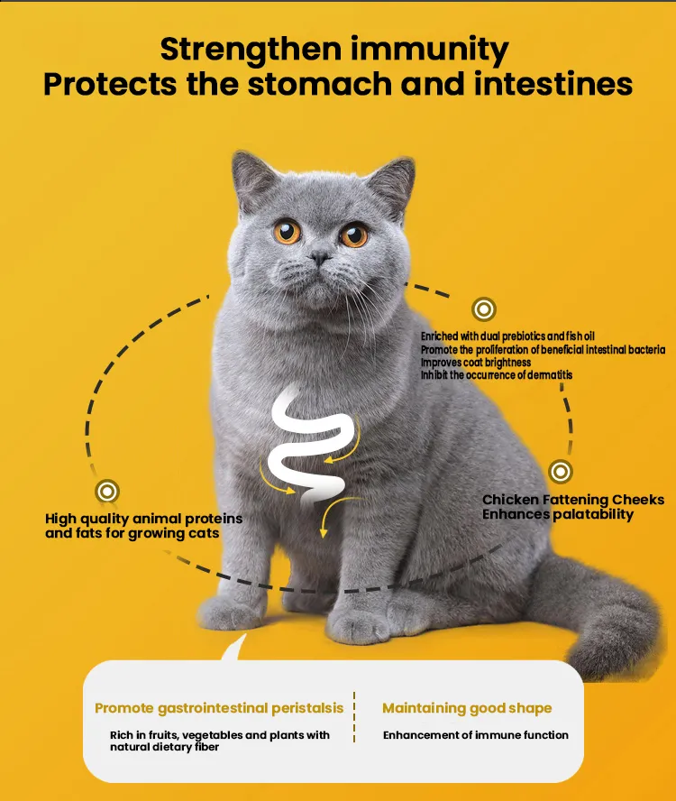 Suministro Directo de Fábrica Comida para Mascotas Comida Seca para Gatos Interior Etiqueta Privada OEM/ODM