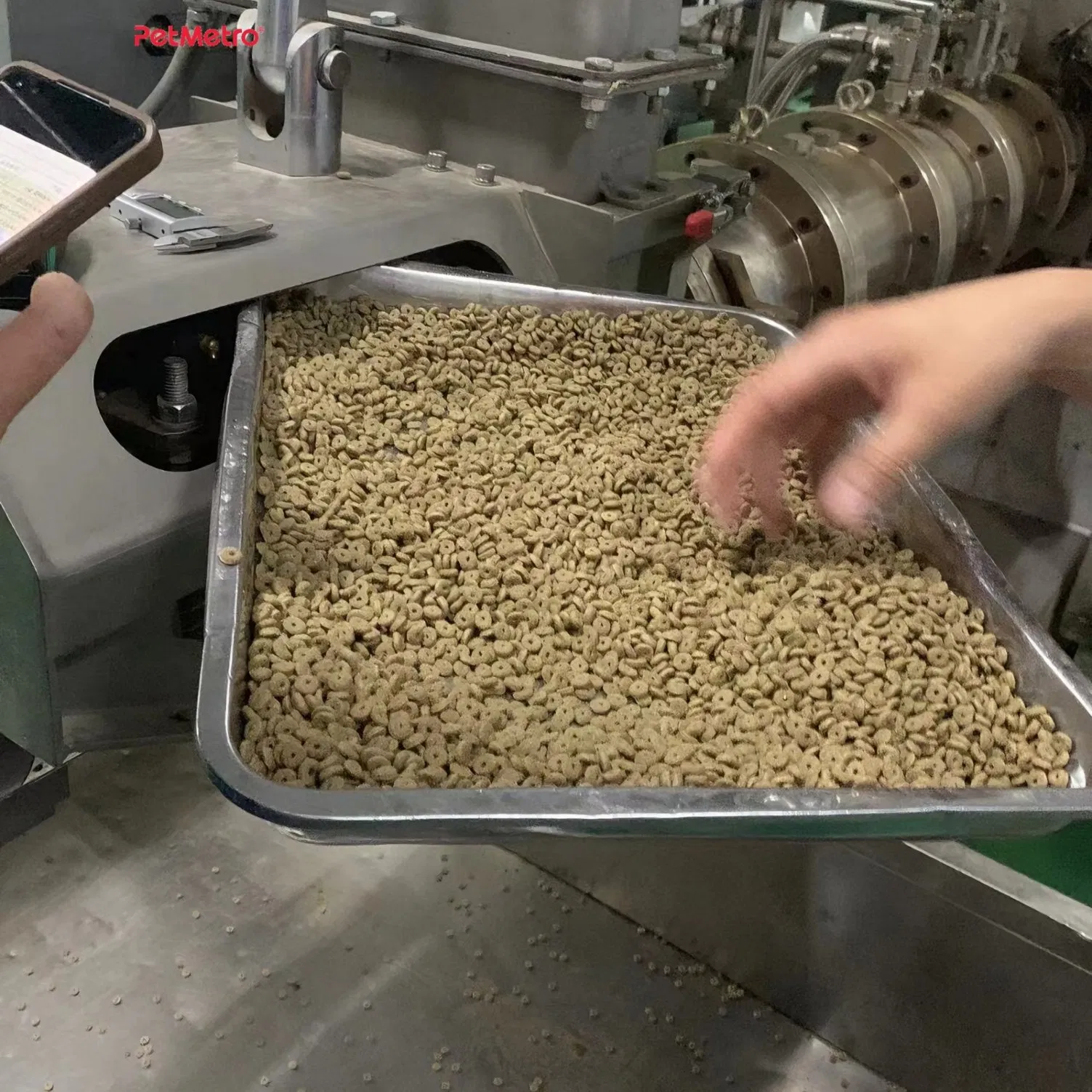Alimento seco para gatos de calidad premium con prebióticos y omega
