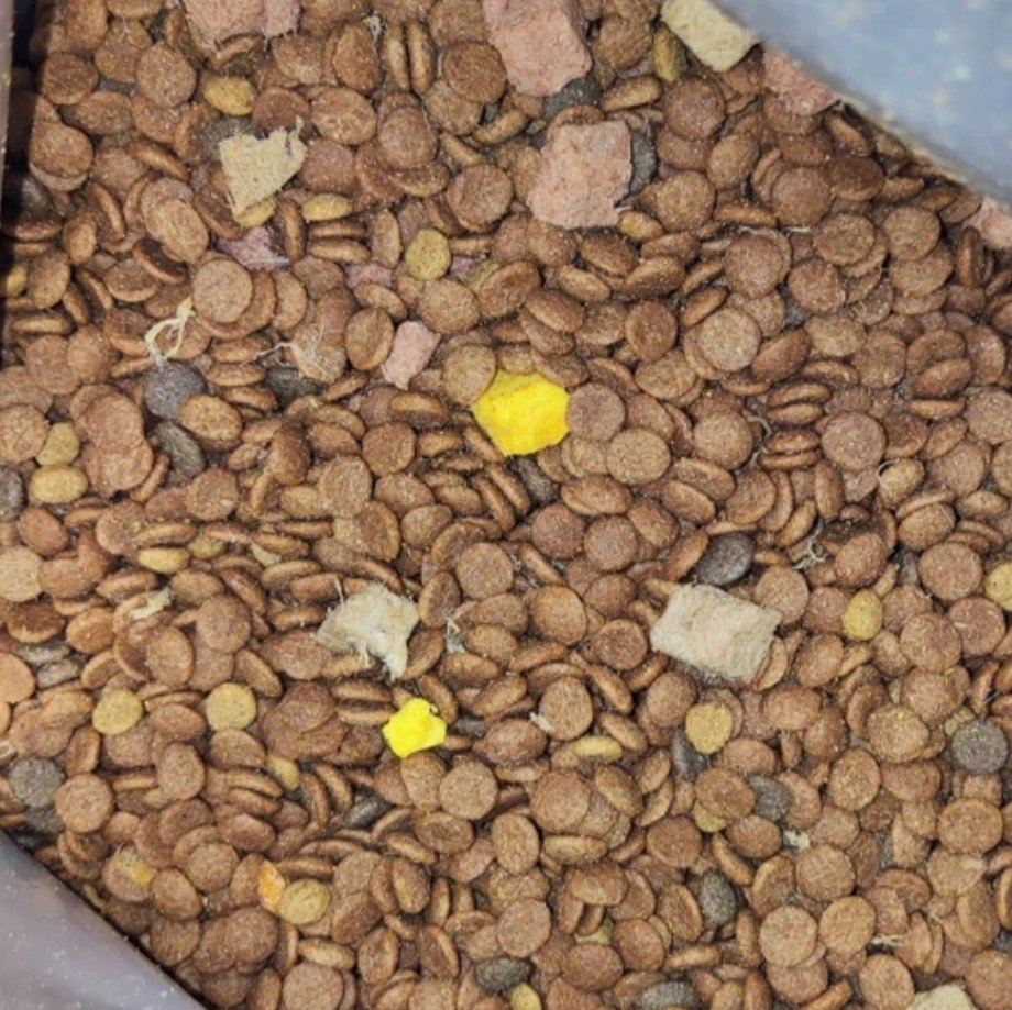 Alimento seco para perros con prebióticos de carne de res, bajo en grasa y alto en proteínas, en diversas formas, venta al por mayor de fábrica de la FDA