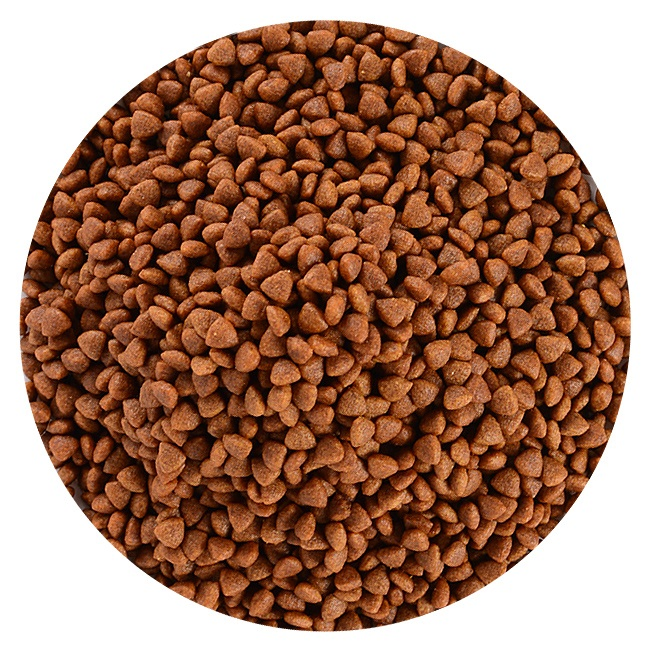 Comida Seca para Perros 2.5kg Kibble Delicioso y Agradable Galleta para Mascotas Comida para Mascotas Hipoalergénica Elección del Distribuidor MOQ Bajo