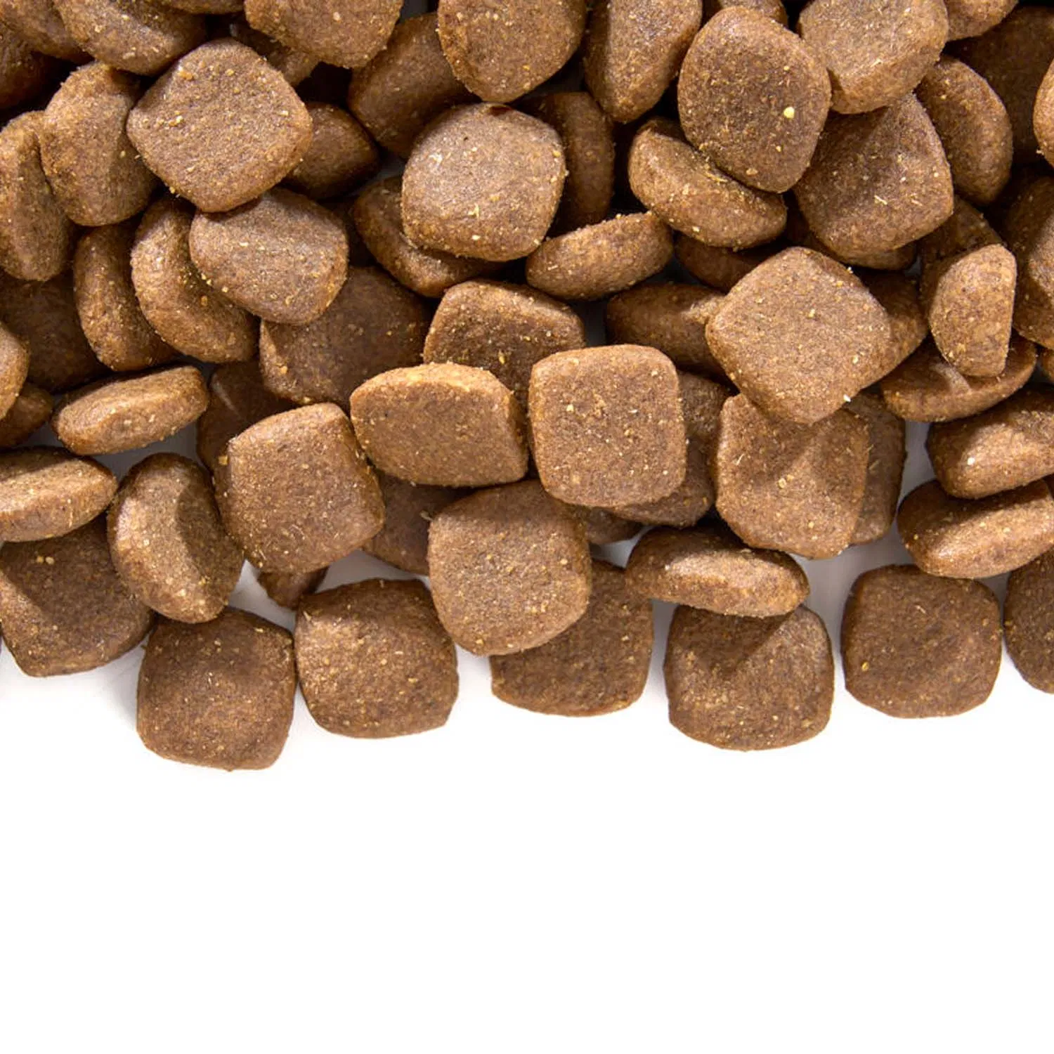 Muestras gratis FDA varios sabores saludable fácil de conservar hipoalergénico comida seca para perros