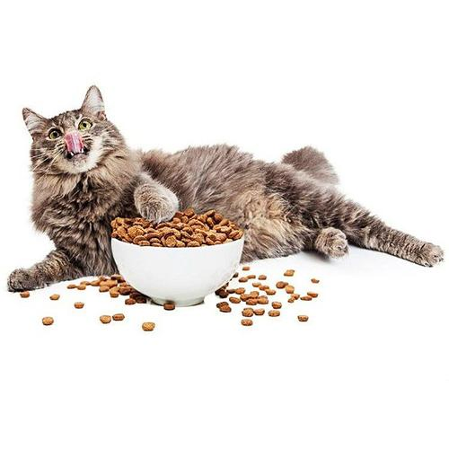 Comida para gatos interiores premium para control de peso y manejo de bolas de pelo