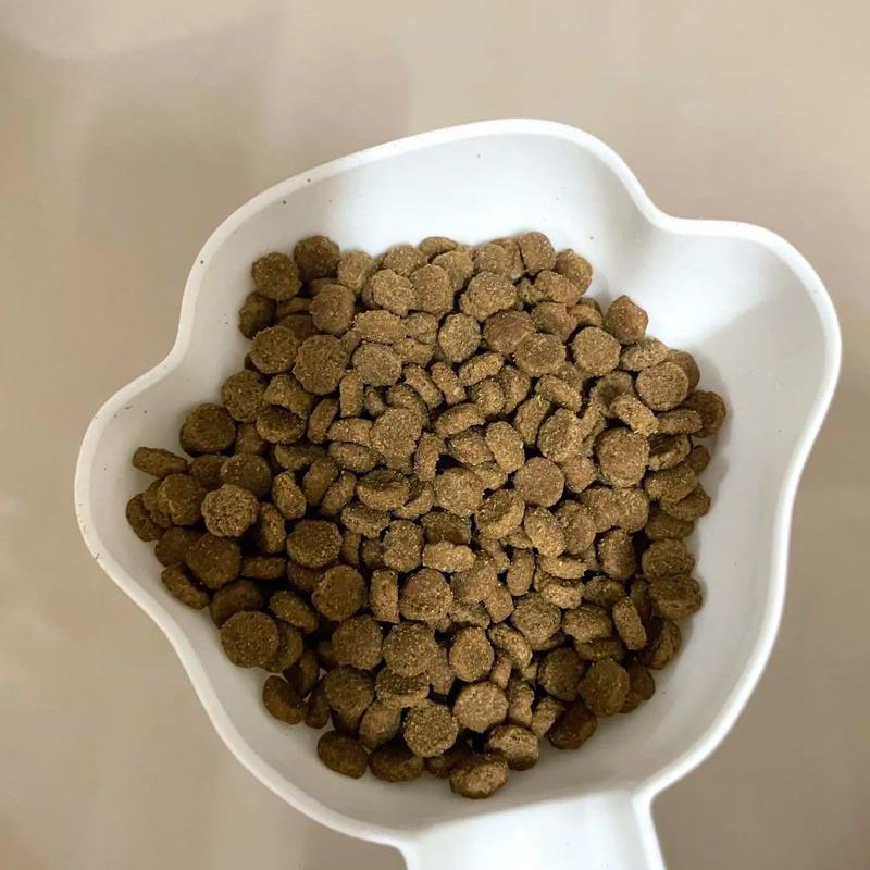 Kibble suave premium masticable para la salud de gatos mayores