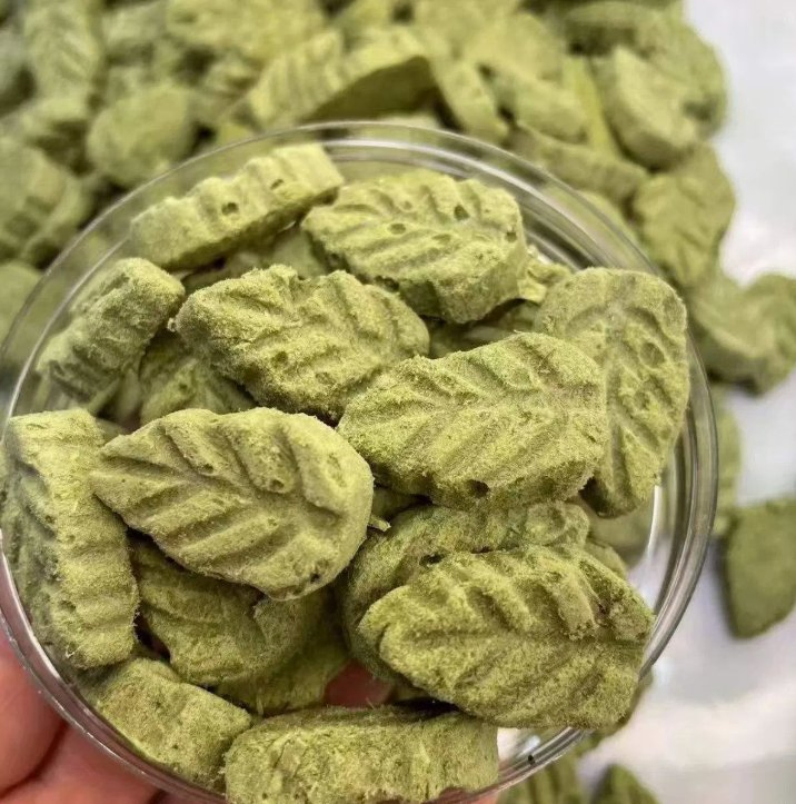 Galletas para gatos liofilizadas de carne real alta en proteínas, sabores de pollo, salmón, atún y pato, galletas calmantes