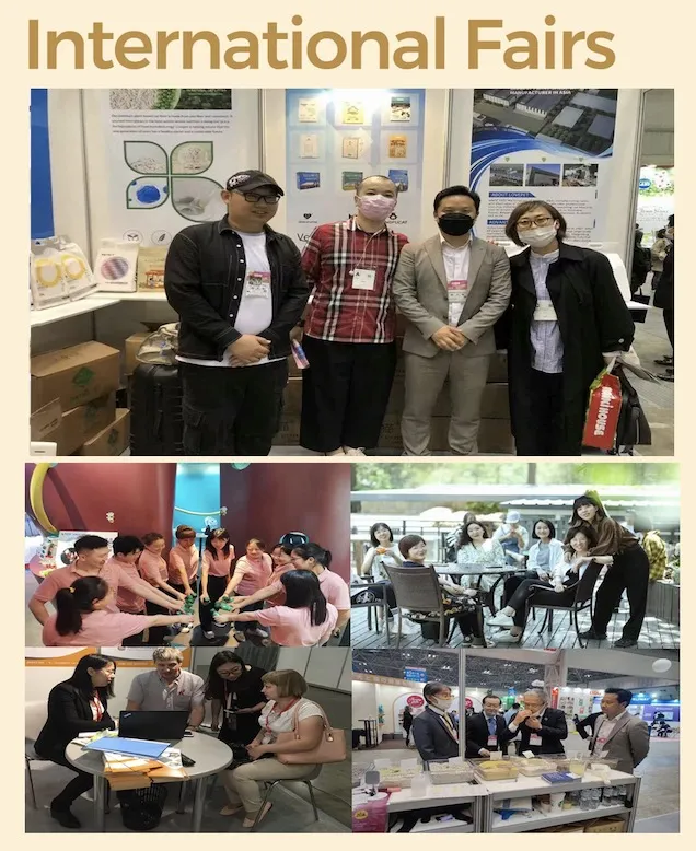 Equipo de trabajo