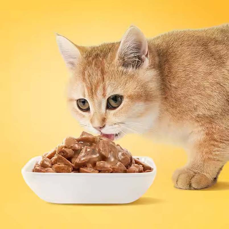 Comida enlatada para gatos húmeda e hipoalergénica, rica en vitamina E, sopa fragante real, fuente para gatos con alergias