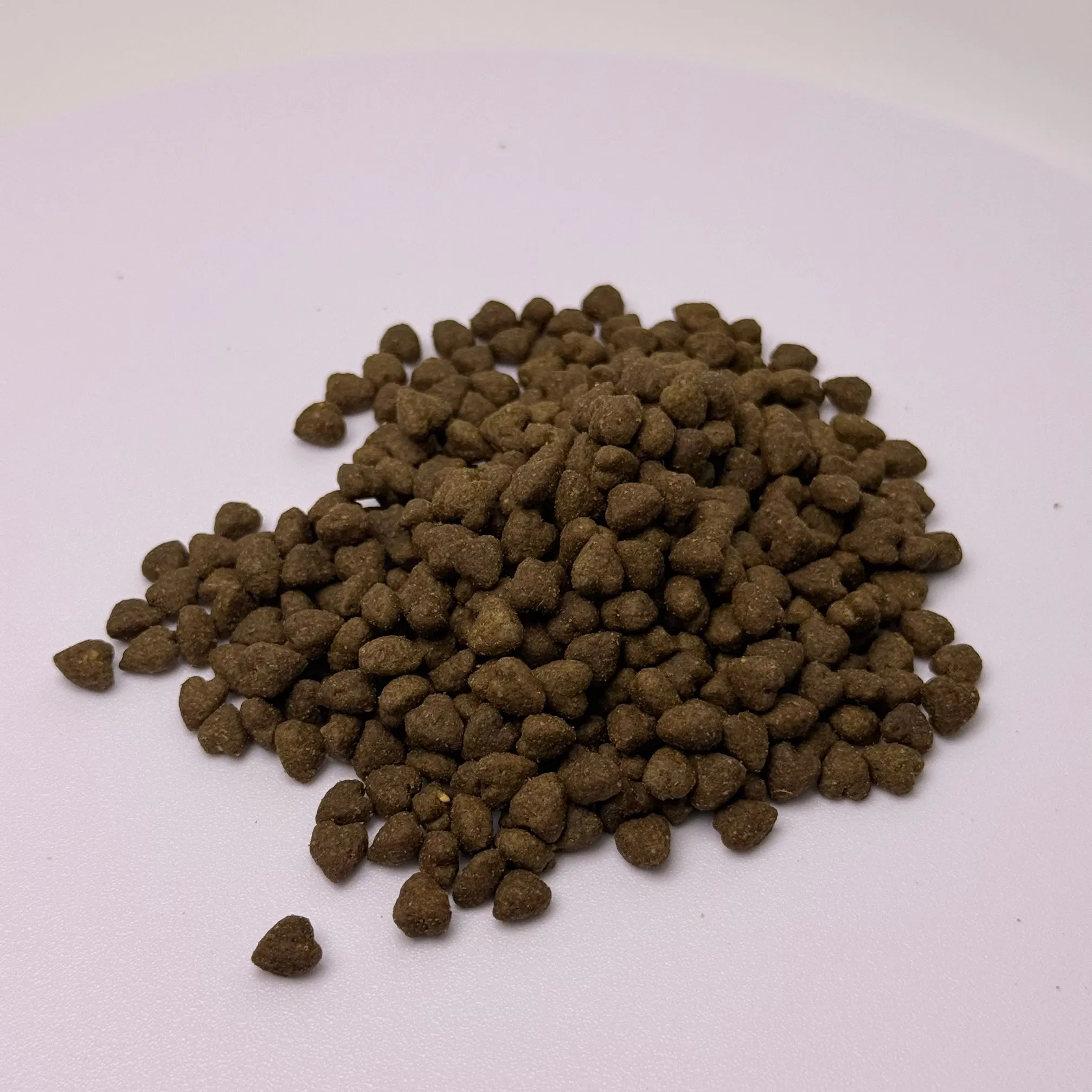 Comida para gatos grano amigable croquetas secas nutren la piel y el pelaje mantienen el pelo suave y brillante todo el año