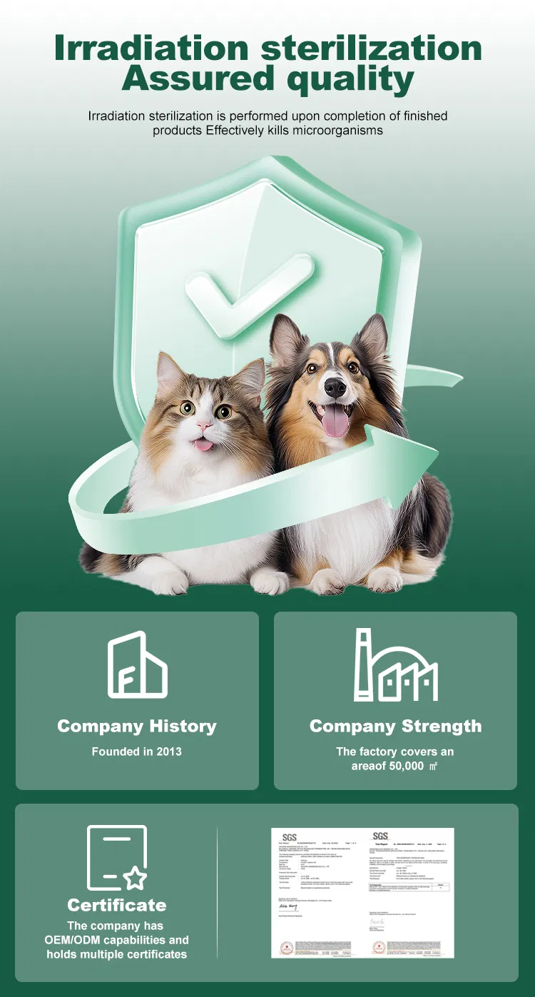 Pet treats 5