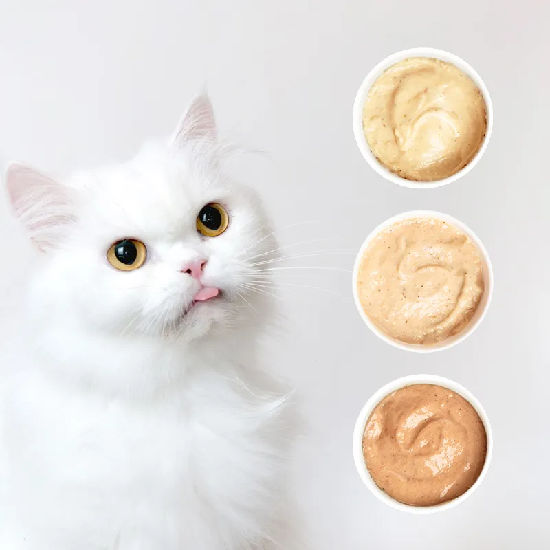 Cat stick 1