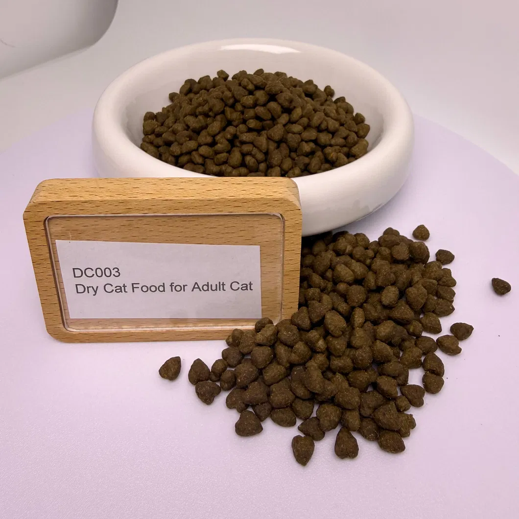 Comida seca