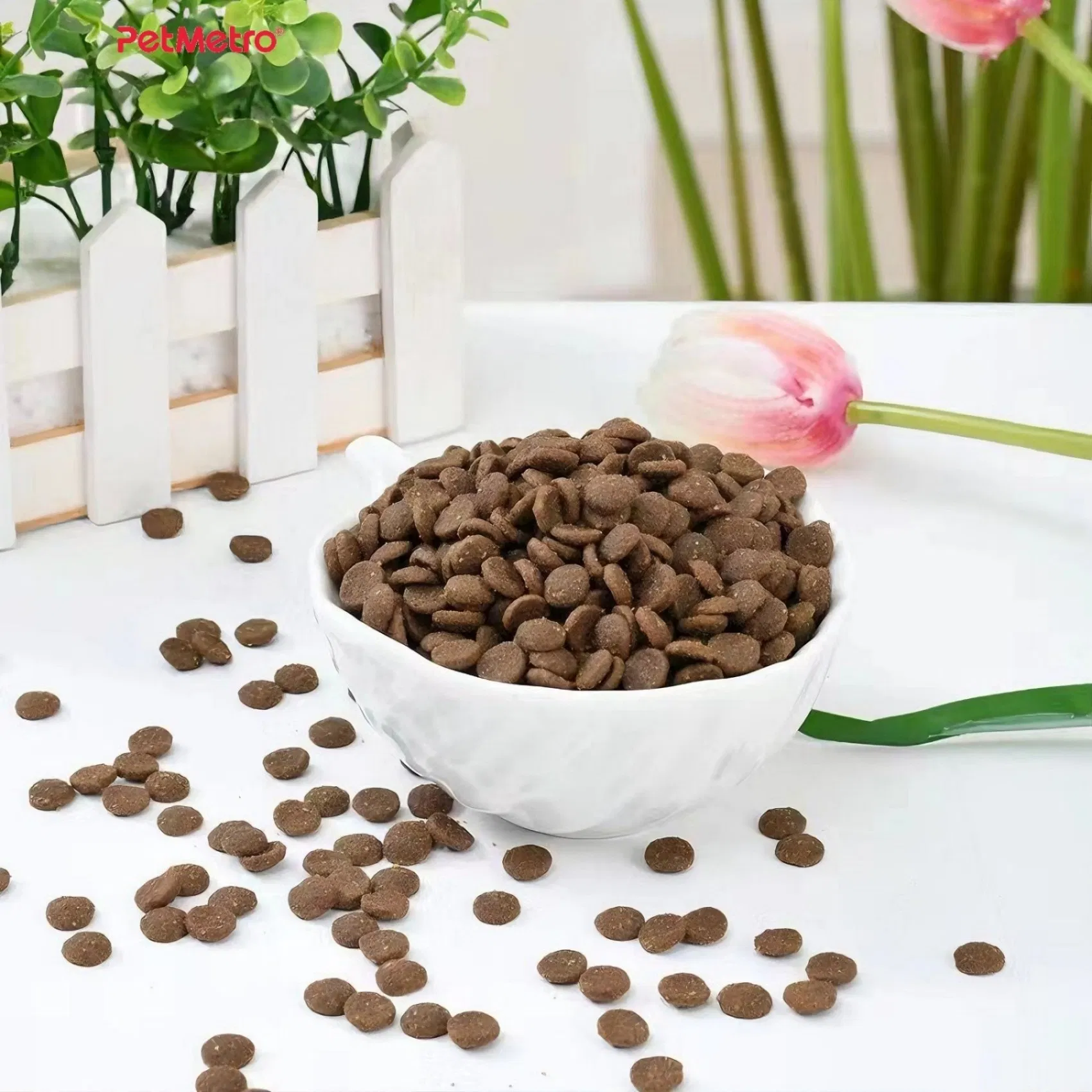 Comida seca natural para gatos con prebióticos y omega tres seis