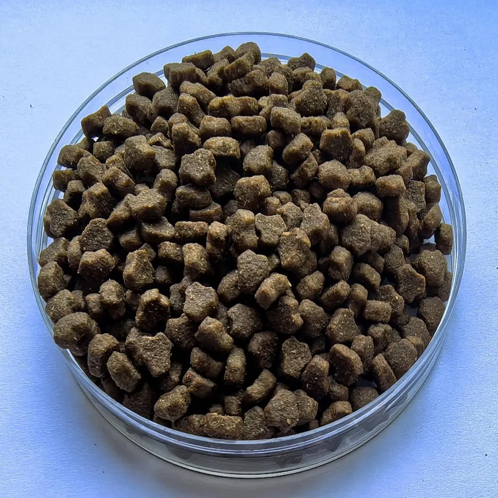 Alimento seco para gatos y perros de alta proteína a granel, alimento nutritivo para mascotas para todas las etapas de la vida
