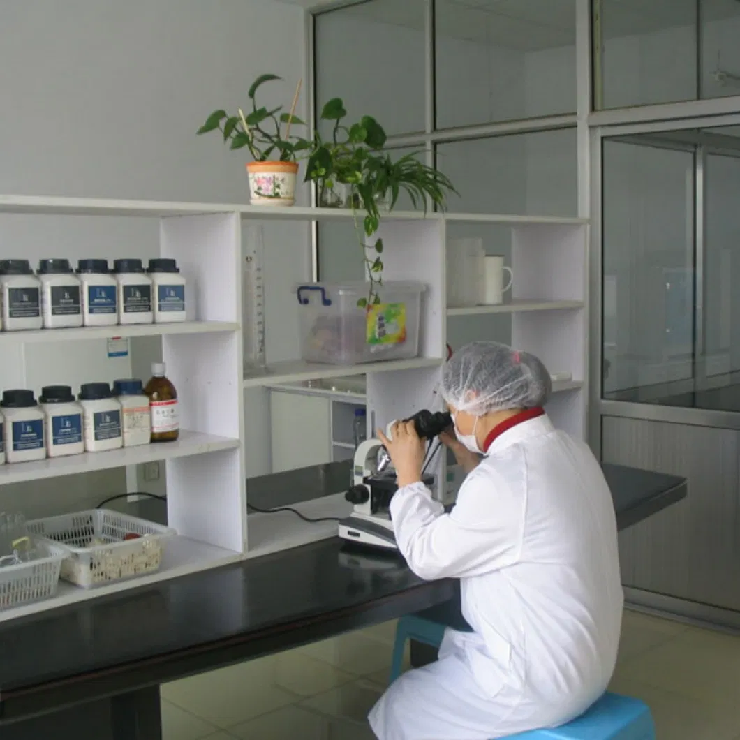 Producción