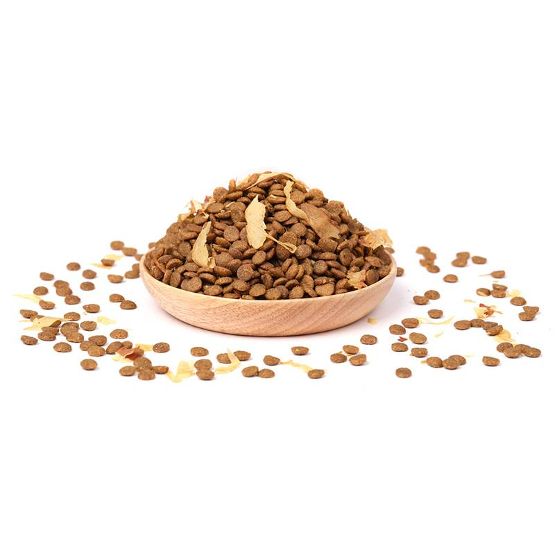 Comida para gatos premium rica en 90% carne real para una salud óptima