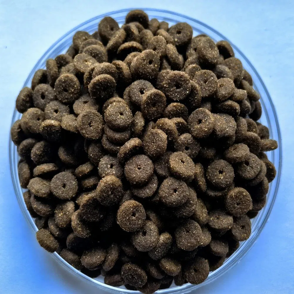 Alimento seco para gatos y perros de alta proteína a granel, alimento nutritivo para mascotas para todas las etapas de la vida