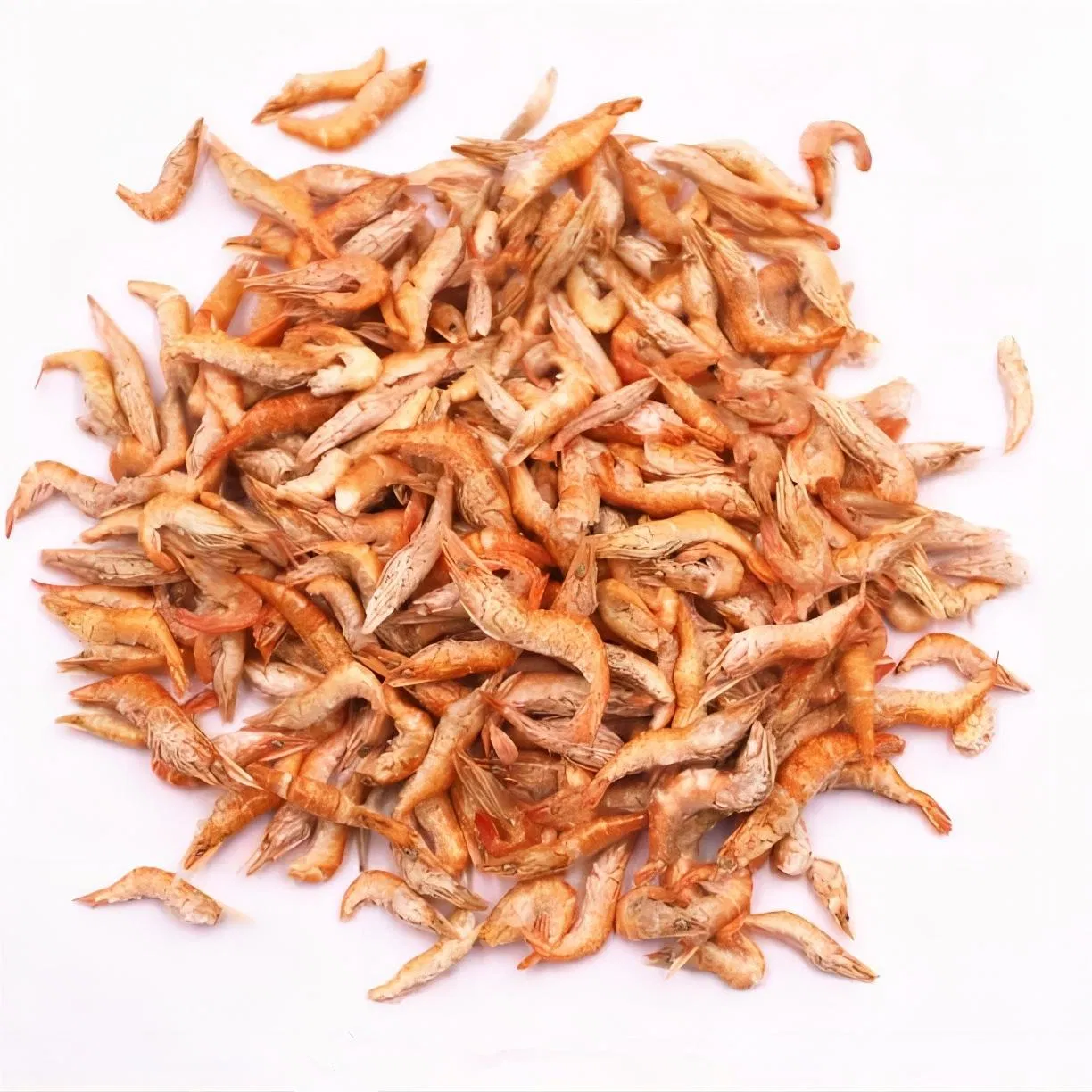Fabricante mayorista de golosinas para gatos, carne de marisco de codorniz liofilizada, comida para mascotas, bocadillos para perros