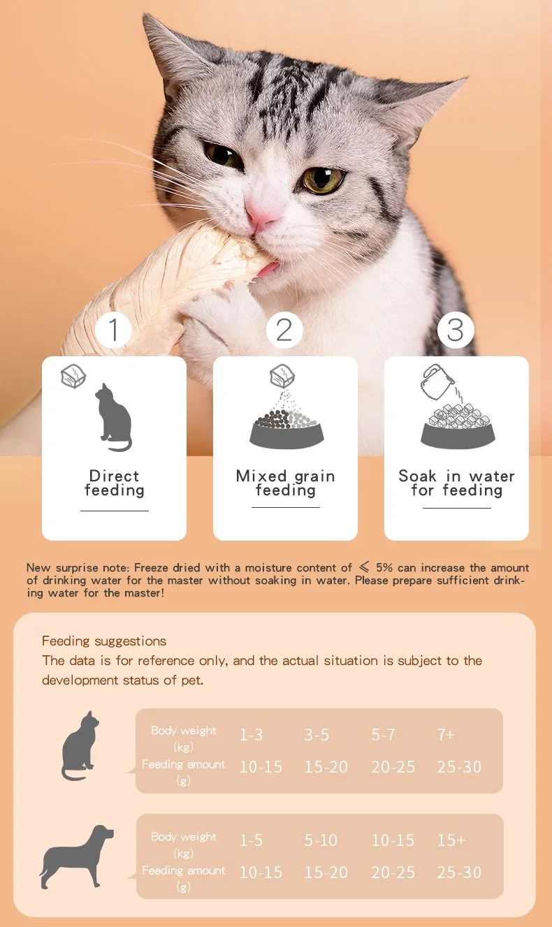Comida seca natural y saludable para gatos