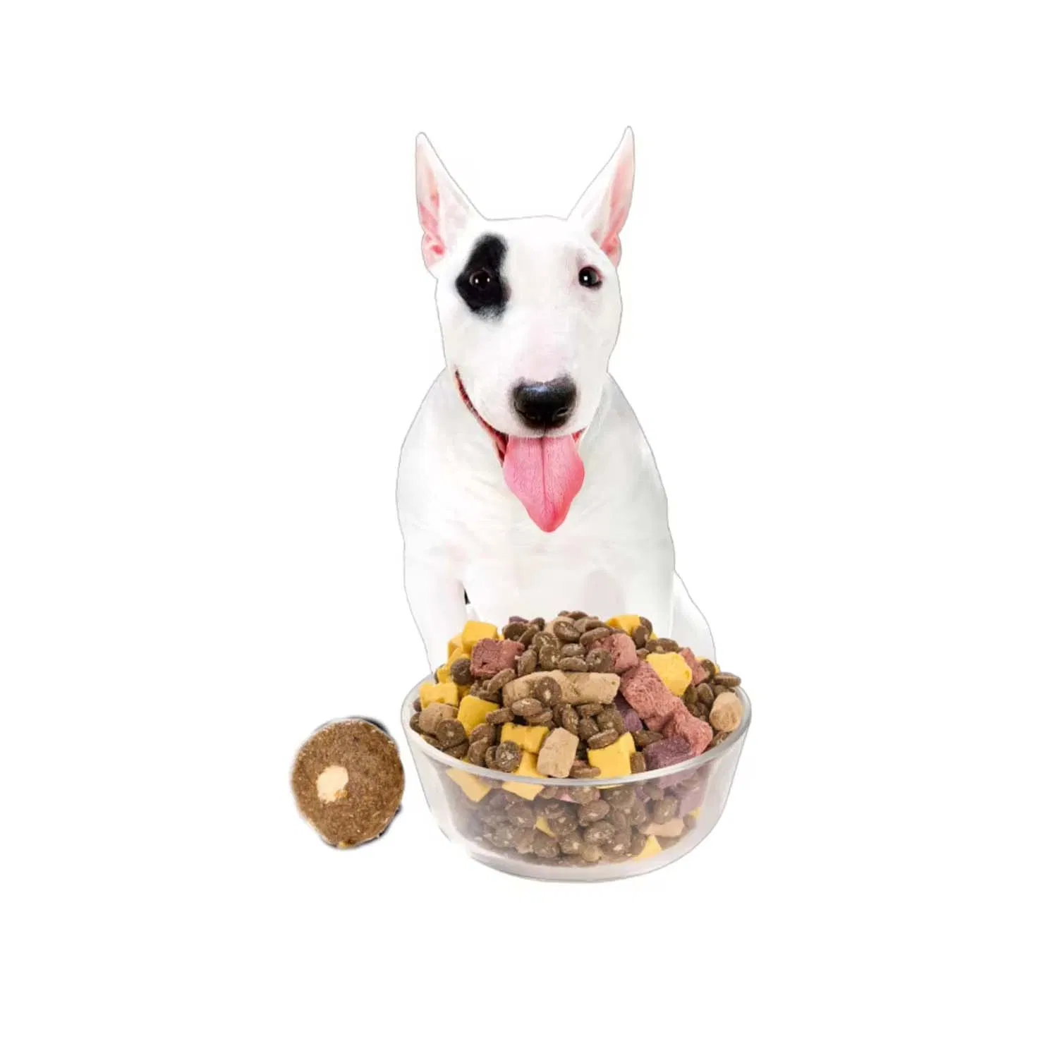 Muestras gratis FDA varios sabores saludable fácil de conservar hipoalergénico comida seca para perros