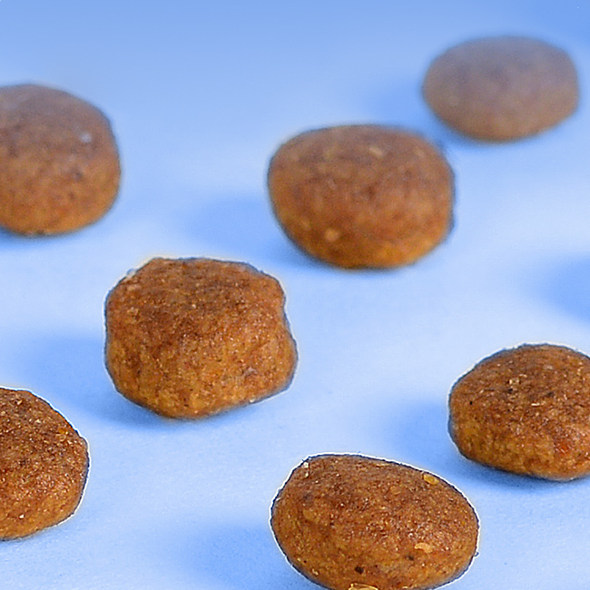Alimento seco para gatos de alta calidad al por mayor, croquetas horneadas, rico en proteínas orgánicas 0.5kg OEM y ODM sin granos