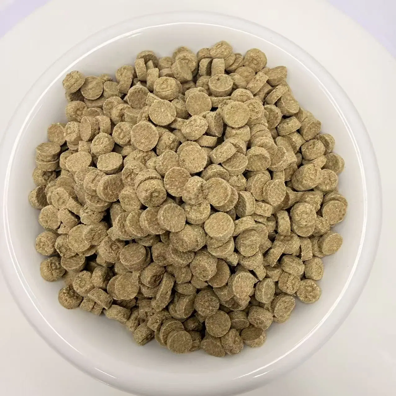 Comida para gatos con sabor a pollo, nutrición equilibrada para gatos de interior