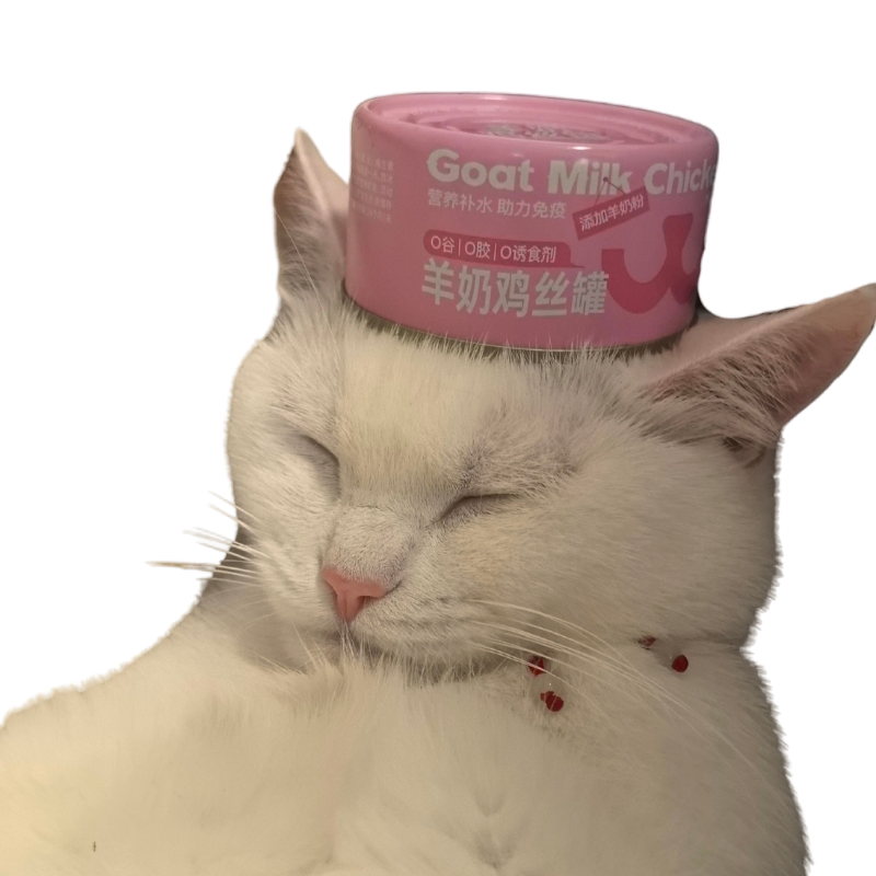 La comida para gatos de China contiene 85g de deliciosa y nutritiva comida húmeda enlatada para gatos sin aditivos, que ahora está en oferta