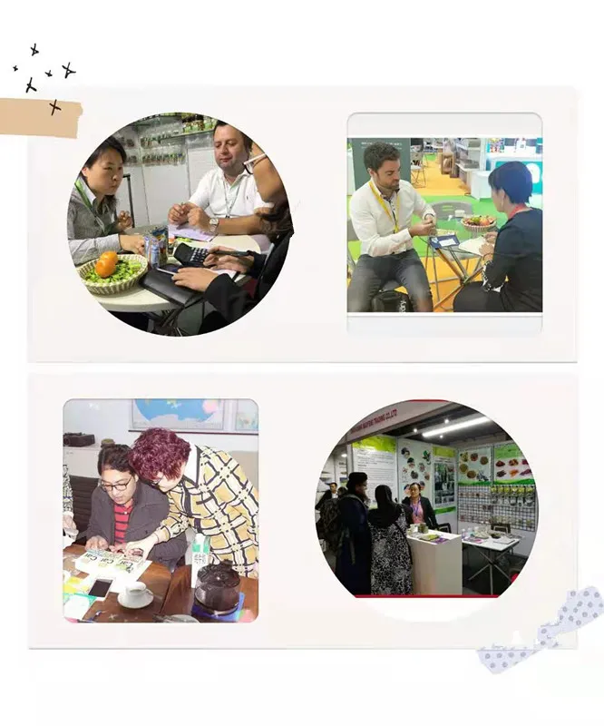 Laboratorio