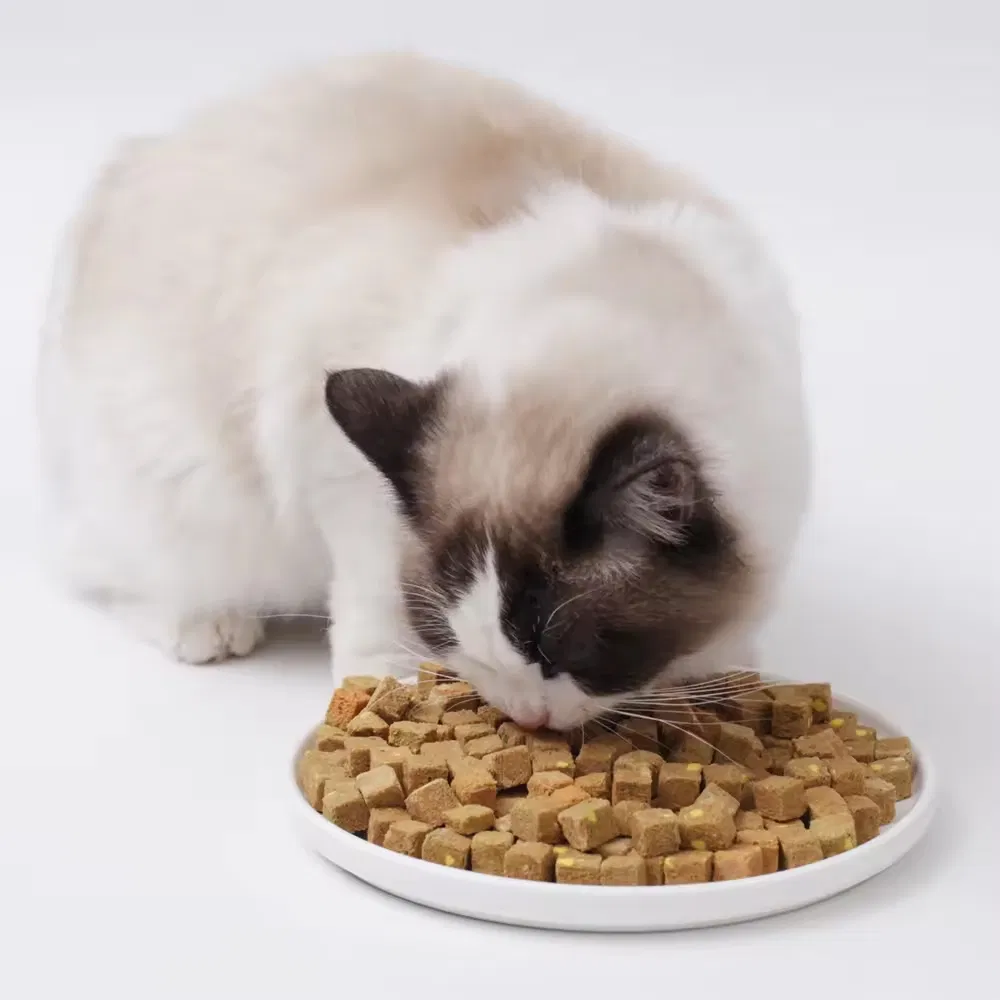 Galletas para mascotas de salmón liofilizado premium - 100% carne pura, rica en proteínas