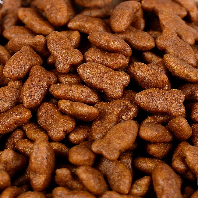 Comida Seca para Gatos Marrón 0.5kg Alimentación Interior Hábito Carnívoro Estómago Sensible Altamente Atractiva