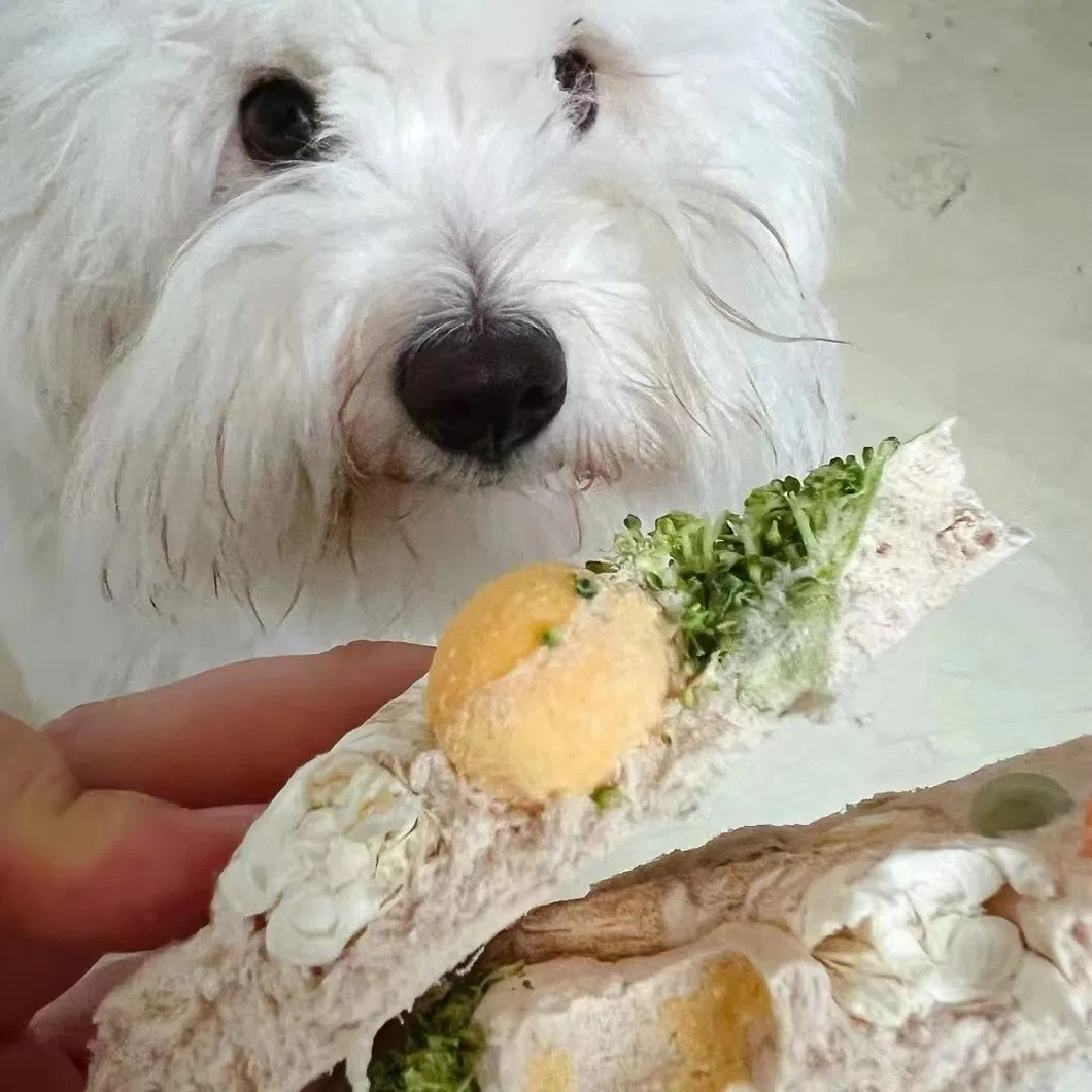 Snacks para mascotas 3