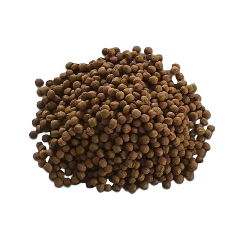 Comida para perros gourmet fresca cocinada con trozos de carne real