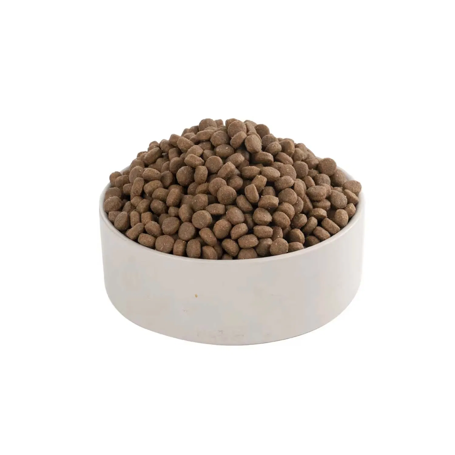 Muestras gratis FDA varios sabores saludable fácil de conservar hipoalergénico comida seca para perros