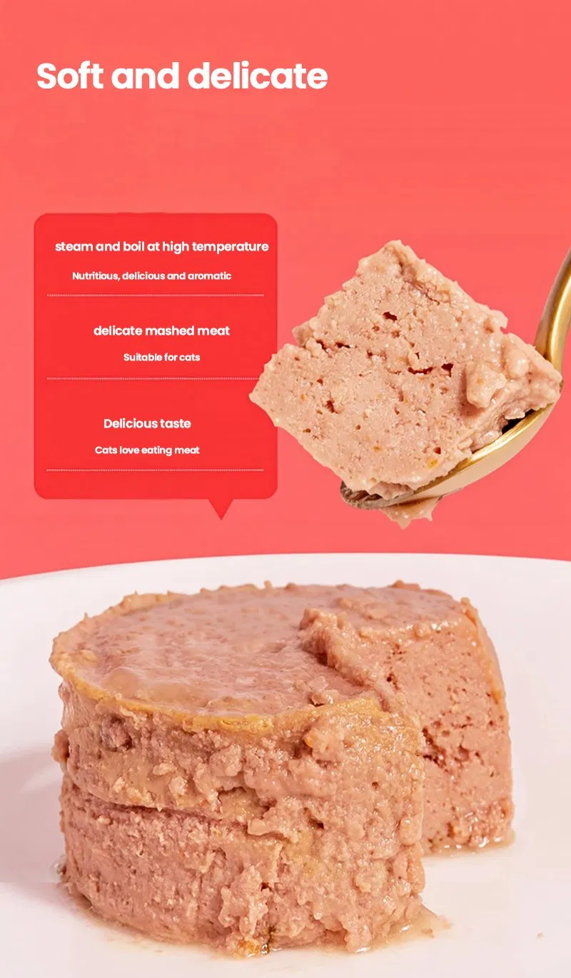 Comida para gatos interior natural saludable alta en proteínas alimento para mascotas hogar para mascotas