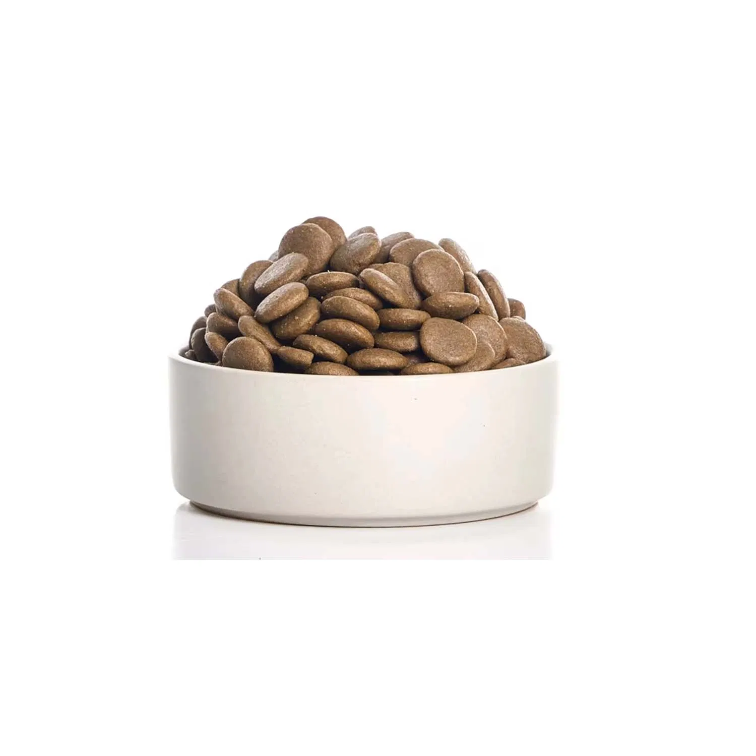 Muestras gratis FDA varios sabores saludable fácil de conservar hipoalergénico comida seca para perros
