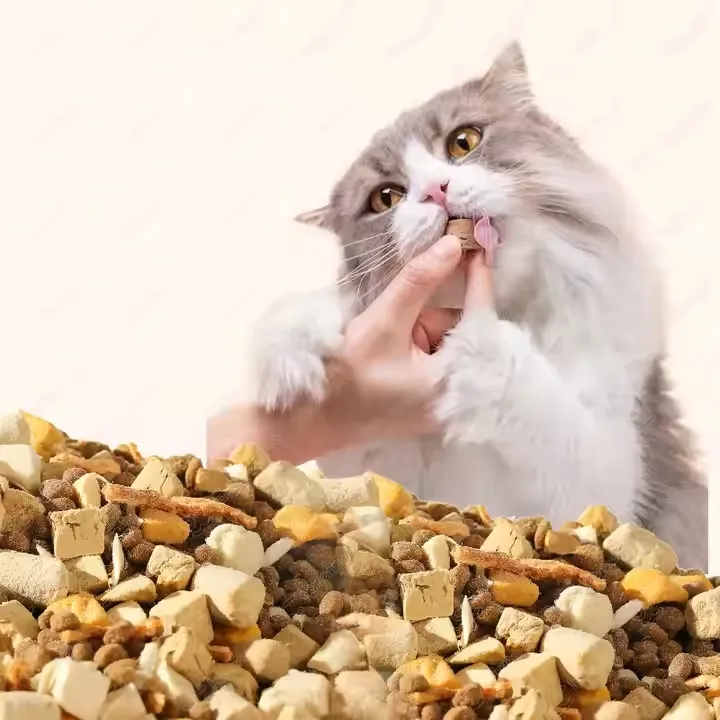 Galletas para mascotas de salmón liofilizado premium - 100% carne pura, rica en proteínas