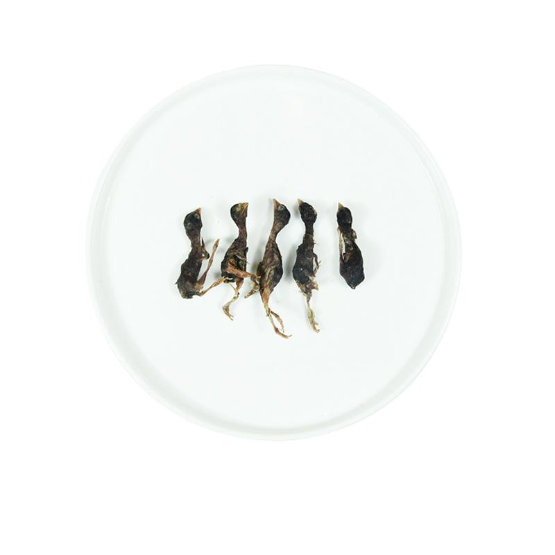 Fabricante mayorista de venta caliente de golosinas para gatos, bocadillos congelados y deshidratados de codorniz, comida para perros, suministros para mascotas