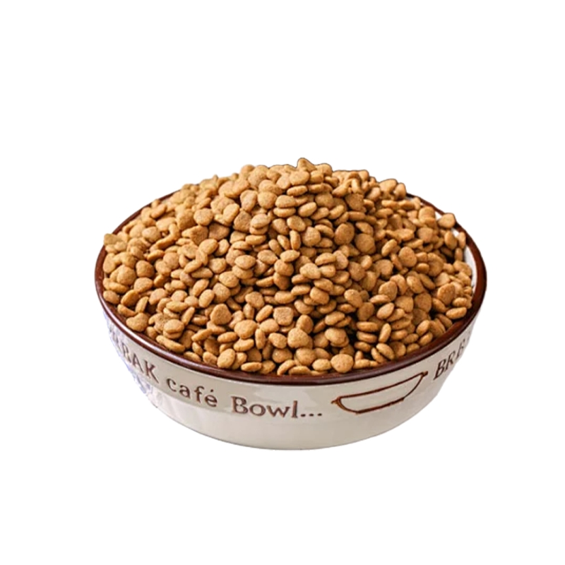 Comida para perros de salmón premium para abrigos saludables y crecimiento muscular