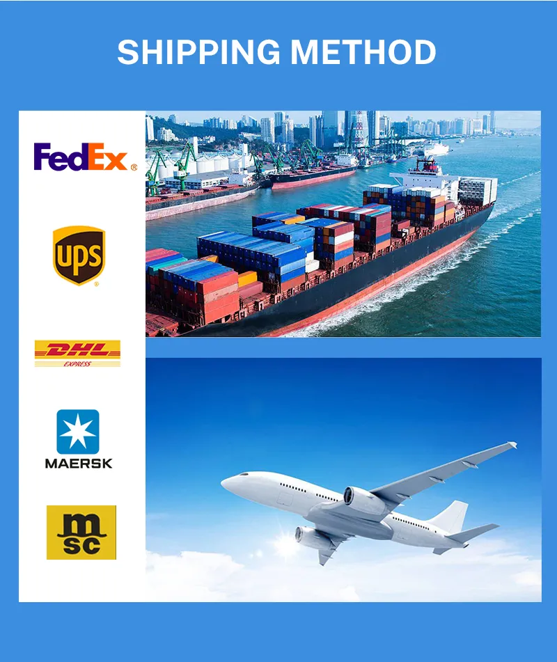 Sistemas de logística, empaque y distribución global