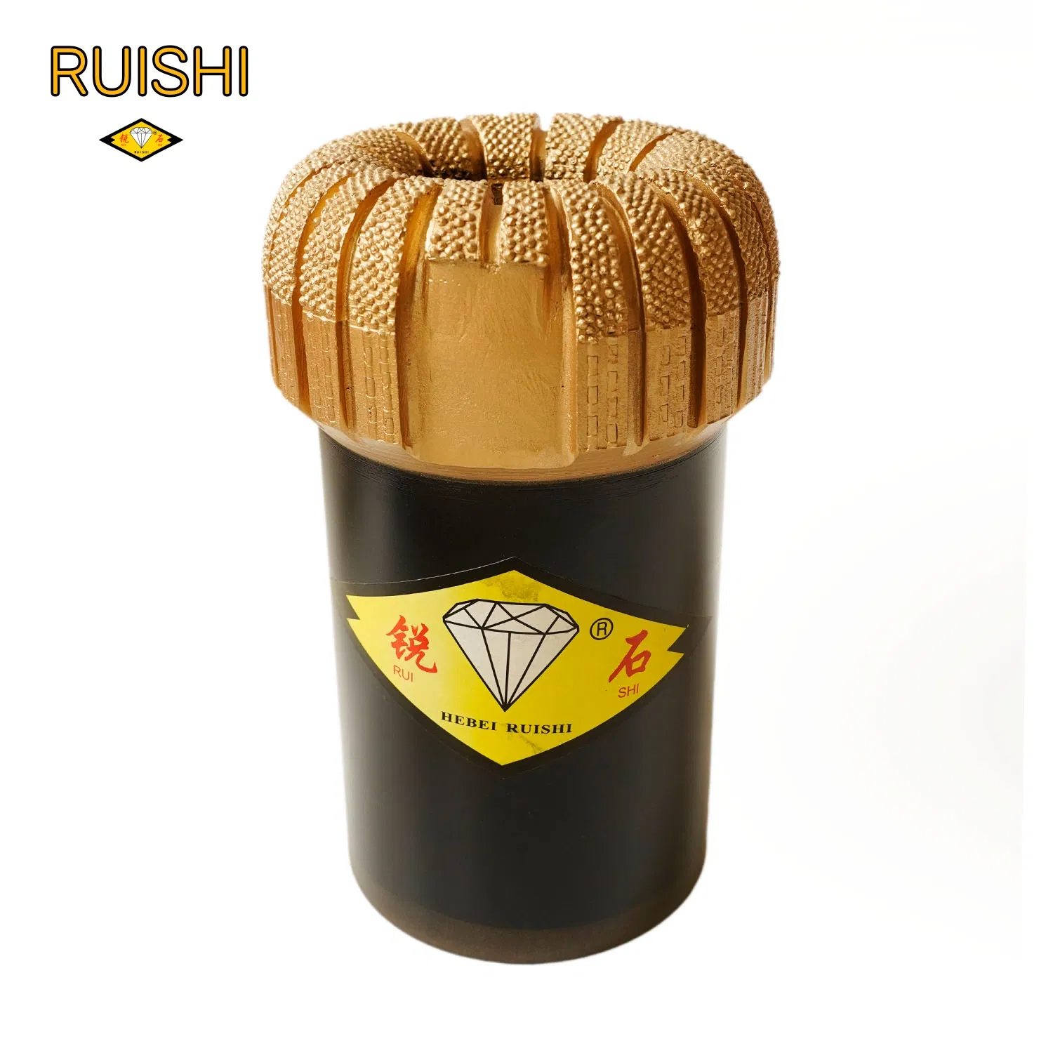 API de Ruishi Bits Micro Bit de Diamante de Núcleo PDC para Petróleo, Agua, Minería, Perforación de Rocas, Herramientas de Perforación de Diamante, Perforación de Pozos en Campos Petroleros