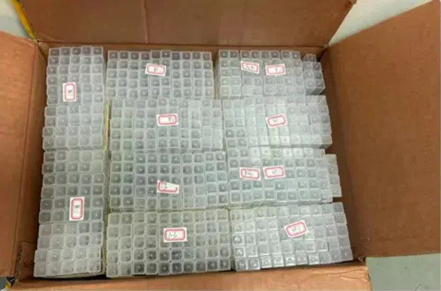 Embalaje de protección para brocas de carburo