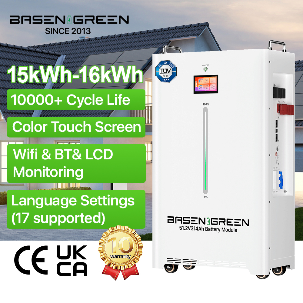 BASENGREEN High Capacity Lithium Battery Lifepo4 51.2 V 230ah 300ah 314ah 11kWh 10kWh 15kWH 16kWh Lifepo4 48v For Home Storage