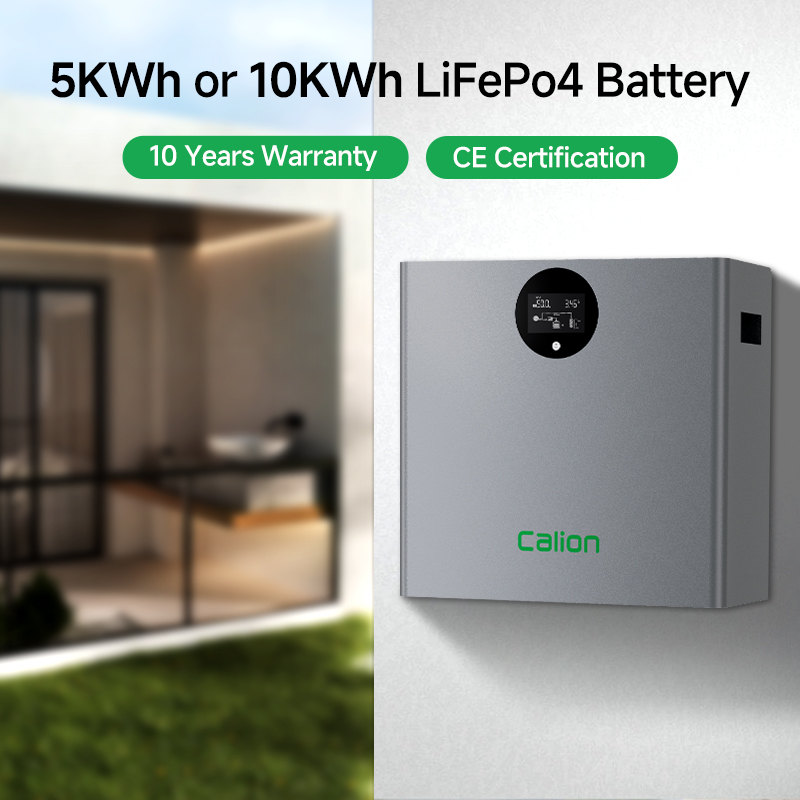 10KWh 51.2V 200Ah Wall Mounted LiFePO4 Battery Bank Whole Home Backup Power Peak Shaving Load Shifting Solution