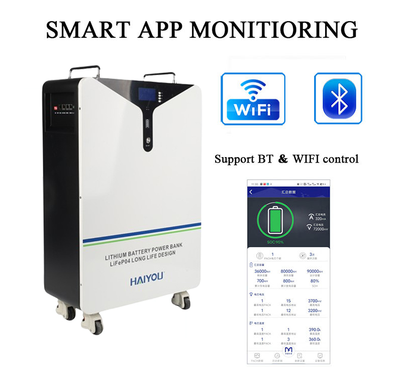 High Compatibility Smart Solar Home Energy Storage System 10 kWh 51.2V 206Ah LiFePO4 Lithium Ion Batteries Solar Backup Power